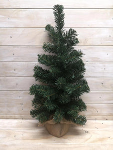 Green Pine Tree with Burlap - 61cm