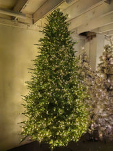 Load image into Gallery viewer, Pre Lit Multi Coloured Green Pine Tree - 9 Foot