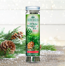 Load image into Gallery viewer, Scentsicle Sticks - White Winter Fir