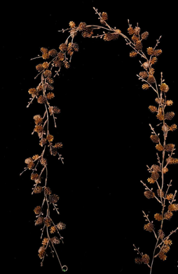 Pinecone Garland