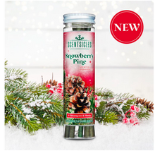 Load image into Gallery viewer, Scentsicle Sticks - Snowberry Pine
