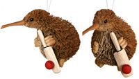 Christmas Kiwi with a Cricket Bat and Ball