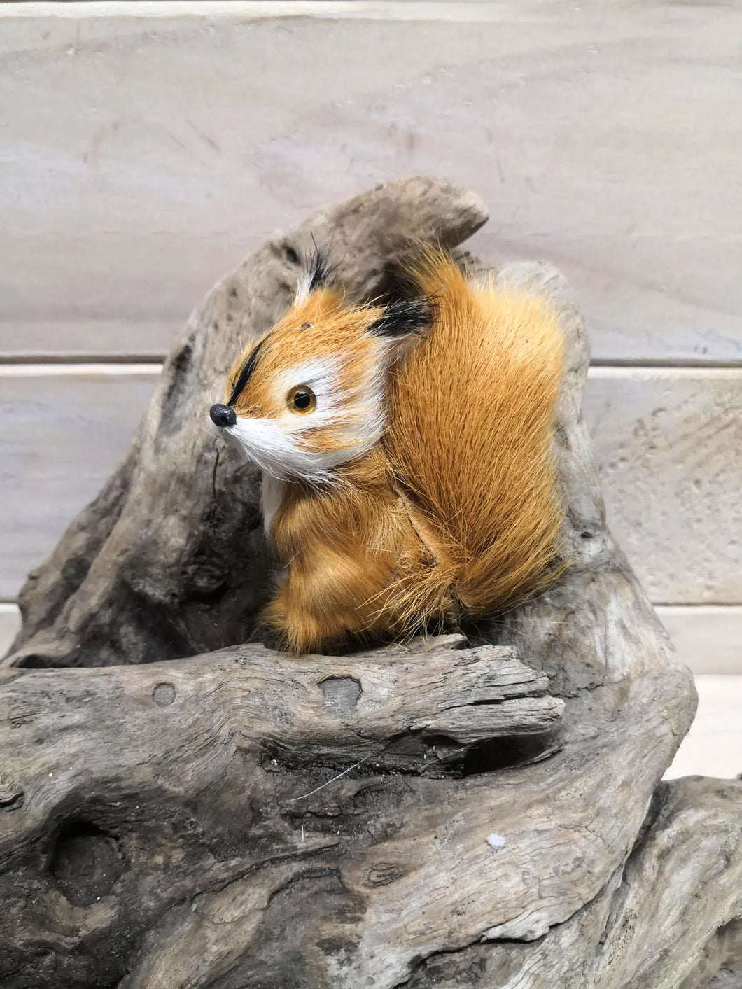 Squirrel - Small