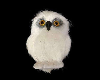 White Owl - Small