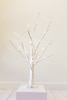 White Birch LED Twinkle Tree - Small - Table Top 60 cm