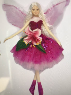 Fuchsia Fairy