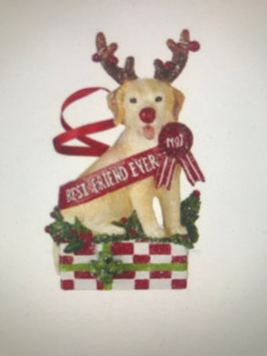 Holiday Best In Show Dog Ornamnet
